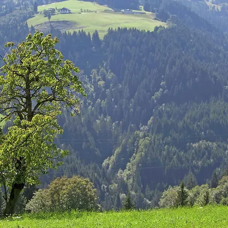 Schartner * Gersbach